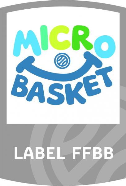 Logo micro Basket